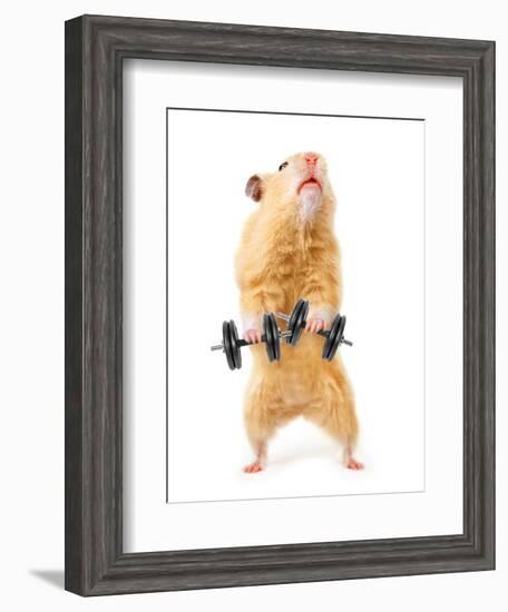Hamster With Bar Isolated On White-IgorKovalchuk-Framed Photographic Print