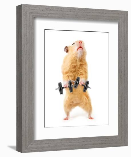 Hamster With Bar Isolated On White-IgorKovalchuk-Framed Photographic Print