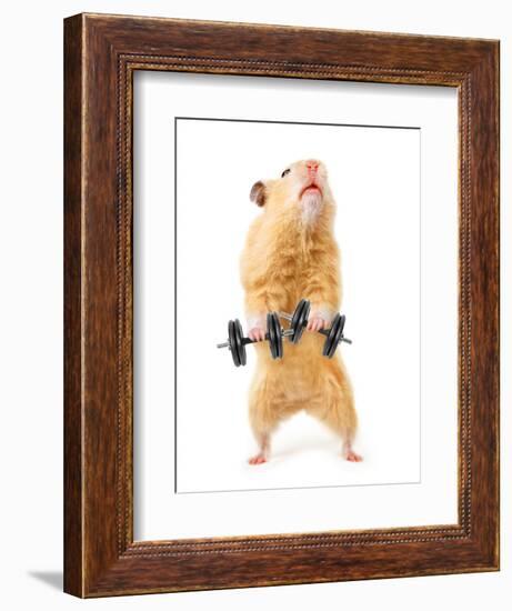 Hamster With Bar Isolated On White-IgorKovalchuk-Framed Photographic Print