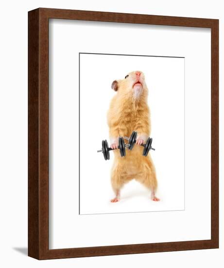 Hamster With Bar Isolated On White-IgorKovalchuk-Framed Photographic Print