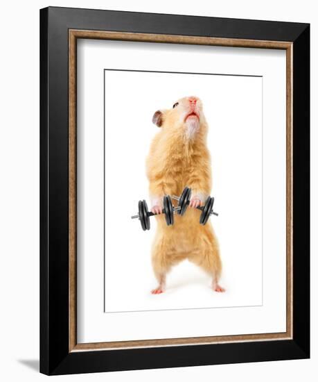 Hamster With Bar Isolated On White-IgorKovalchuk-Framed Photographic Print