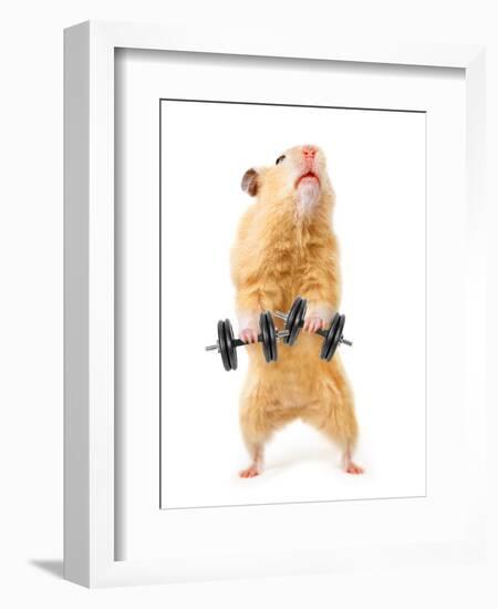 Hamster With Bar Isolated On White-IgorKovalchuk-Framed Photographic Print