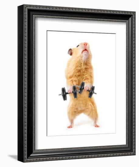 Hamster With Bar Isolated On White-IgorKovalchuk-Framed Photographic Print