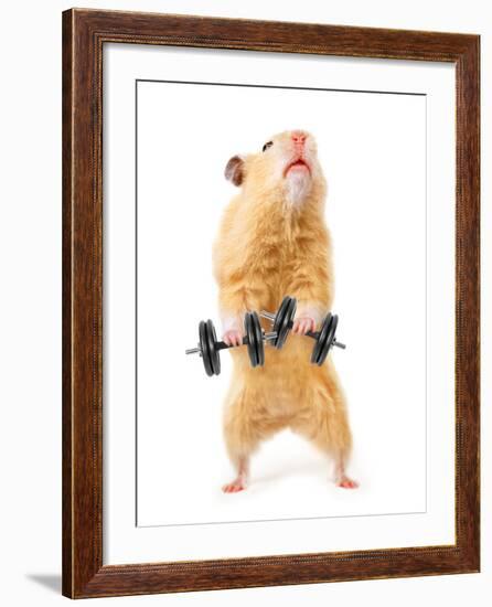 Hamster With Bar Isolated On White-IgorKovalchuk-Framed Photographic Print