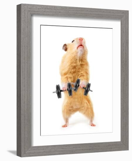 Hamster With Bar Isolated On White-IgorKovalchuk-Framed Photographic Print