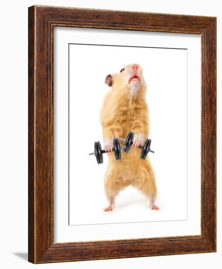 Hamster With Bar Isolated On White-IgorKovalchuk-Framed Photographic Print