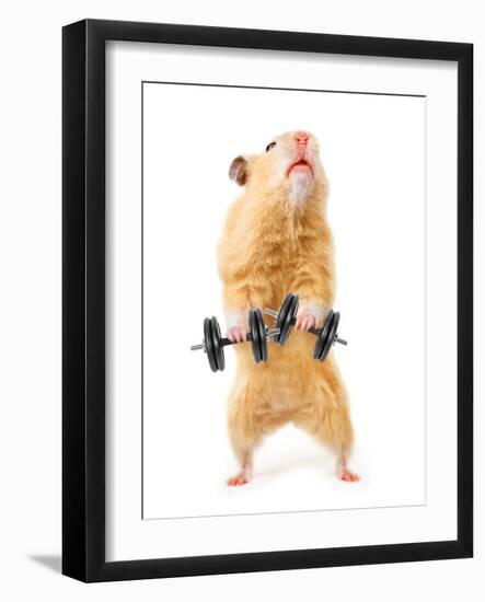 Hamster With Bar Isolated On White-IgorKovalchuk-Framed Photographic Print