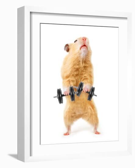 Hamster With Bar Isolated On White-IgorKovalchuk-Framed Photographic Print