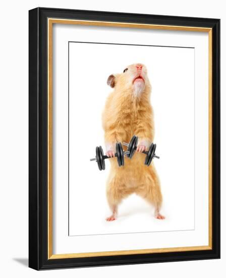 Hamster With Bar Isolated On White-IgorKovalchuk-Framed Photographic Print