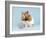 Hamster with Cake and Candle-null-Framed Photographic Print