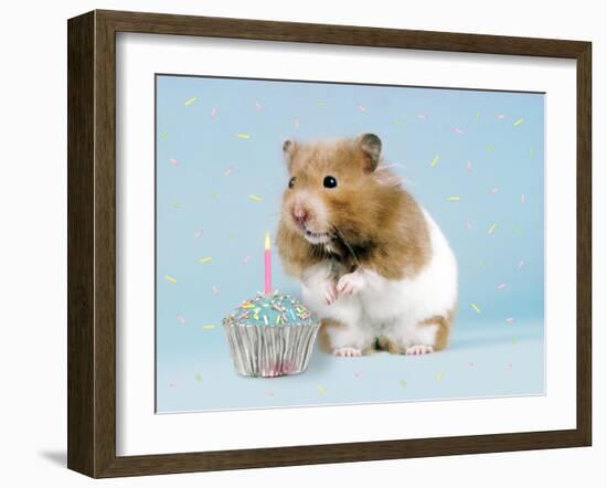 Hamster with Cake and Candle-null-Framed Photographic Print