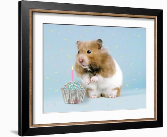 Hamster with Cake and Candle-null-Framed Photographic Print