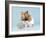 Hamster with Cake and Candle-null-Framed Photographic Print