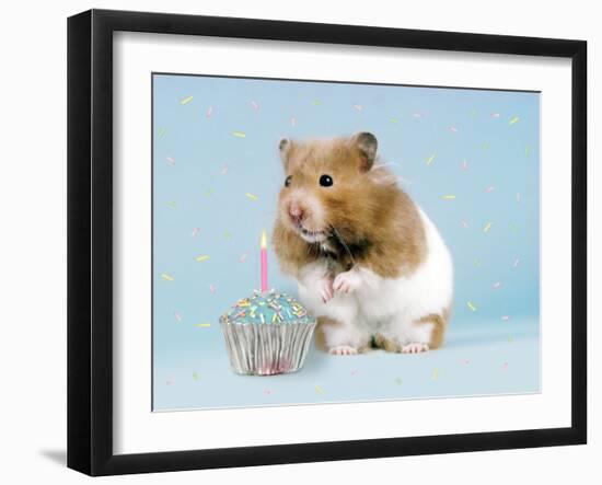 Hamster with Cake and Candle-null-Framed Photographic Print