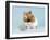 Hamster with Cake and Candle-null-Framed Photographic Print