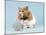 Hamster with Cake and Candle-null-Mounted Photographic Print