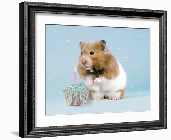 Hamster with Cake and Candle-null-Framed Photographic Print