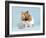 Hamster with Cake and Candle-null-Framed Photographic Print