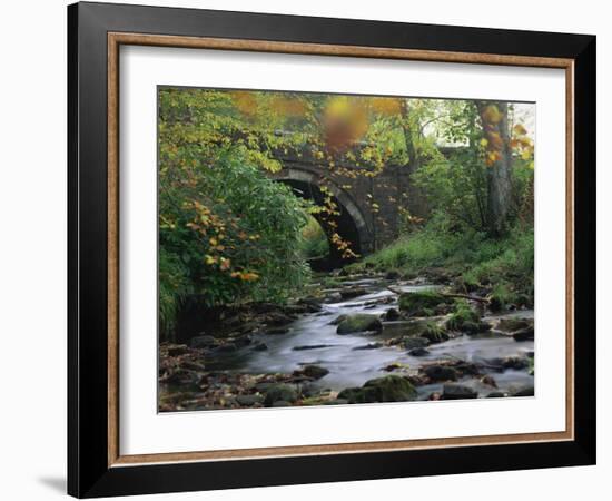 Hamsterley Forest, County Durham, England, United Kingdom, Europe-Mawson Mark-Framed Photographic Print