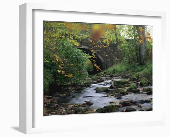 Hamsterley Forest, County Durham, England, United Kingdom, Europe-Mawson Mark-Framed Photographic Print