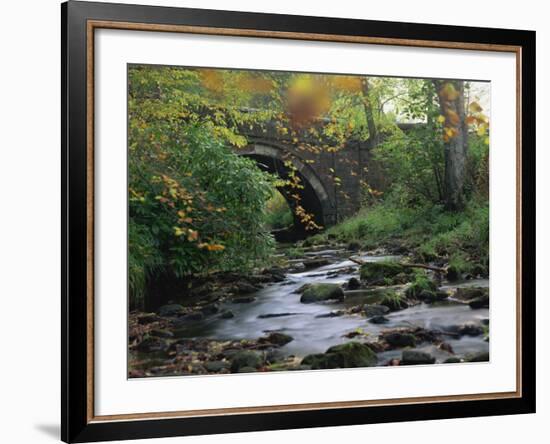 Hamsterley Forest, County Durham, England, United Kingdom, Europe-Mawson Mark-Framed Photographic Print