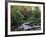 Hamsterley Forest, County Durham, England, United Kingdom, Europe-Mawson Mark-Framed Photographic Print