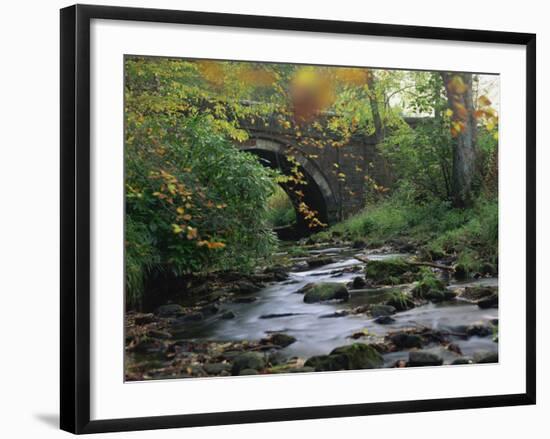 Hamsterley Forest, County Durham, England, United Kingdom, Europe-Mawson Mark-Framed Photographic Print