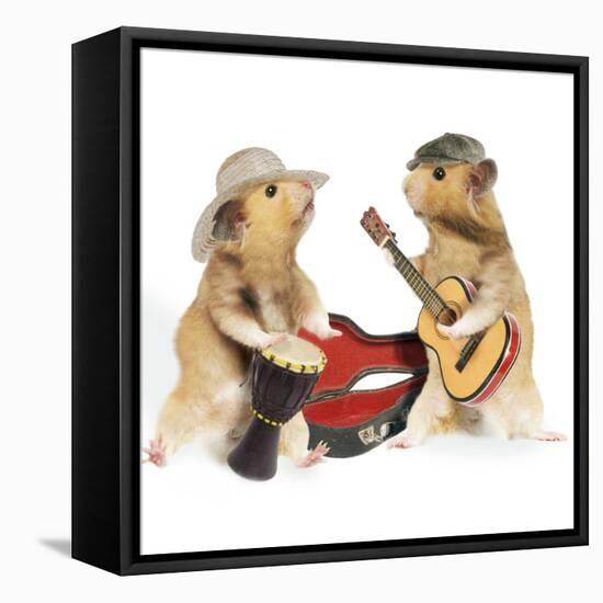 Hamsters Playing Musical Instruments-null-Framed Premier Image Canvas