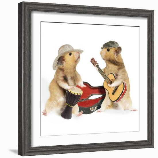 Hamsters Playing Musical Instruments-null-Framed Photographic Print