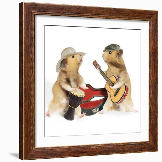 Hamsters Playing Musical Instruments-null-Framed Photographic Print