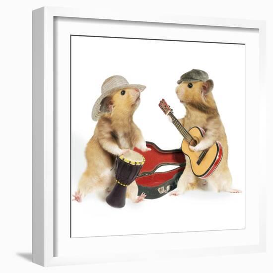 Hamsters Playing Musical Instruments-null-Framed Photographic Print