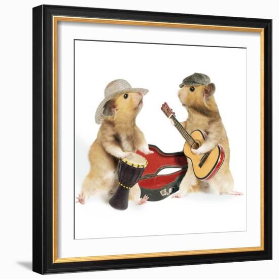 Hamsters Playing Musical Instruments-null-Framed Photographic Print