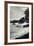 Hana Seascape, Maui-Vincent James-Framed Photographic Print