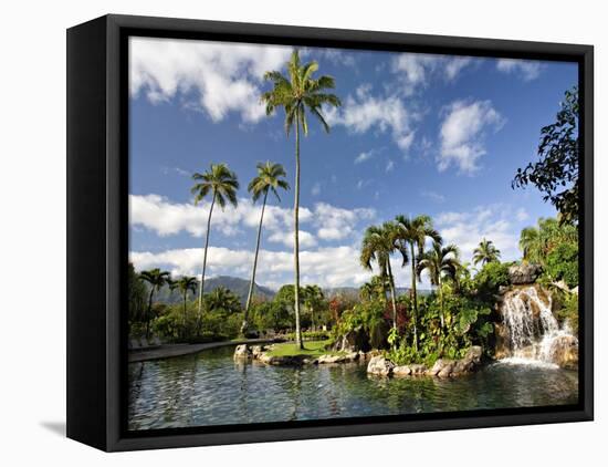 Hanalei Bay Resort, Princeville, Kauai, Hawaii, USA-Charles Sleicher-Framed Premier Image Canvas