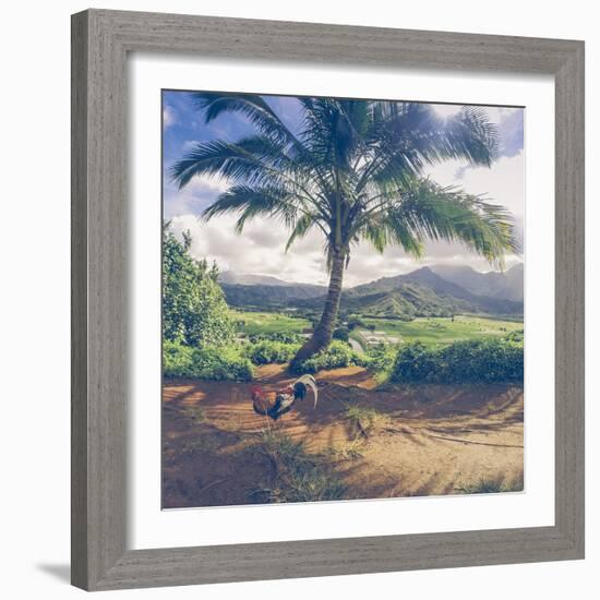 Hanalei Chicken Landscape, Kauai Hawaii-Vincent James-Framed Photographic Print