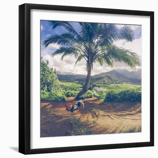 Hanalei Chicken Landscape, Kauai Hawaii-Vincent James-Framed Photographic Print