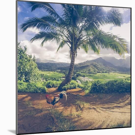 Hanalei Chicken Landscape, Kauai Hawaii-Vincent James-Mounted Photographic Print