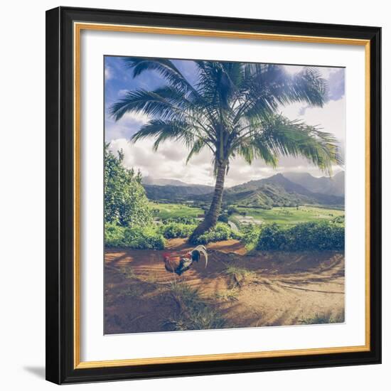 Hanalei Chicken Landscape, Kauai Hawaii-Vincent James-Framed Photographic Print