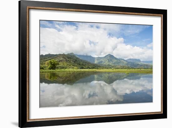 Hanalei National Wildlife Refuge, Hanalei Valley, Kauai, Hawaii, United States of America, Pacific-Michael DeFreitas-Framed Photographic Print