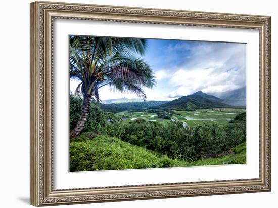 Hanalei Valley-Danny Head-Framed Photographic Print