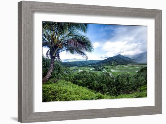 Hanalei Valley-Danny Head-Framed Photographic Print