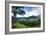 Hanalei Valley-Danny Head-Framed Photographic Print