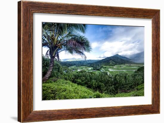 Hanalei Valley-Danny Head-Framed Photographic Print