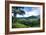 Hanalei Valley-Danny Head-Framed Photographic Print