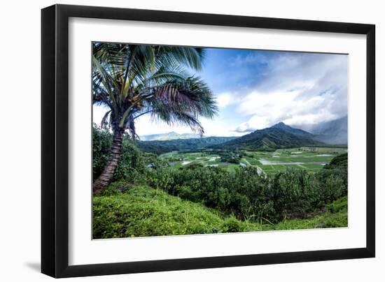 Hanalei Valley-Danny Head-Framed Photographic Print