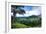 Hanalei Valley-Danny Head-Framed Photographic Print