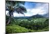 Hanalei Valley-Danny Head-Mounted Photographic Print