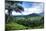 Hanalei Valley-Danny Head-Mounted Photographic Print