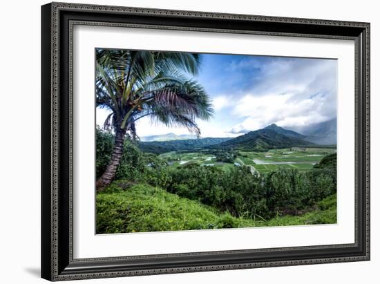 Hanalei Valley-Danny Head-Framed Photographic Print