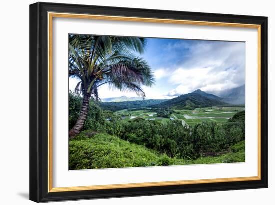 Hanalei Valley-Danny Head-Framed Photographic Print